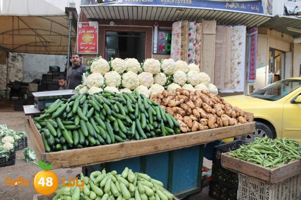 re7la tolkarem (19).JPG